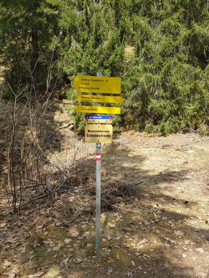 Haus Guem Apartman Ehrwald Kültér fotó