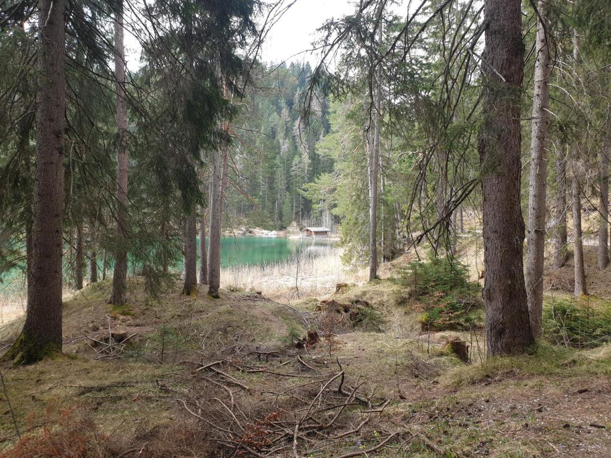 Haus Guem Apartman Ehrwald Kültér fotó