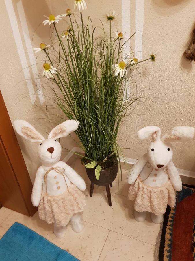 Haus Guem Apartman Ehrwald Kültér fotó