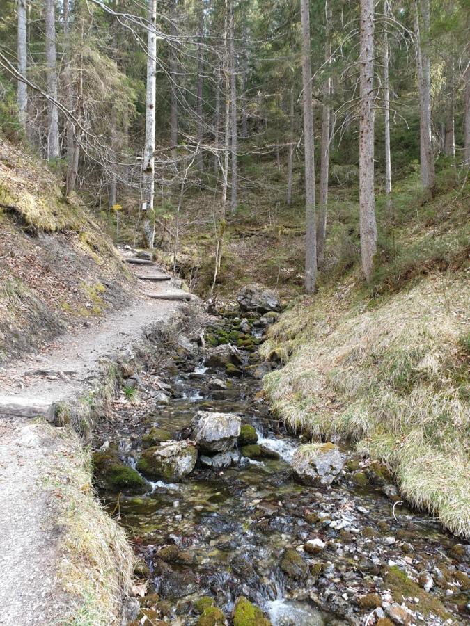 Haus Guem Apartman Ehrwald Kültér fotó