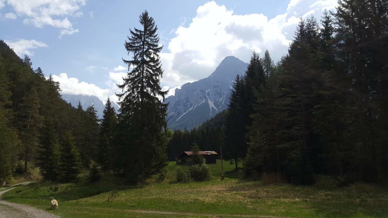 Haus Guem Apartman Ehrwald Kültér fotó
