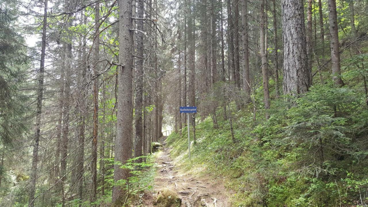 Haus Guem Apartman Ehrwald Kültér fotó